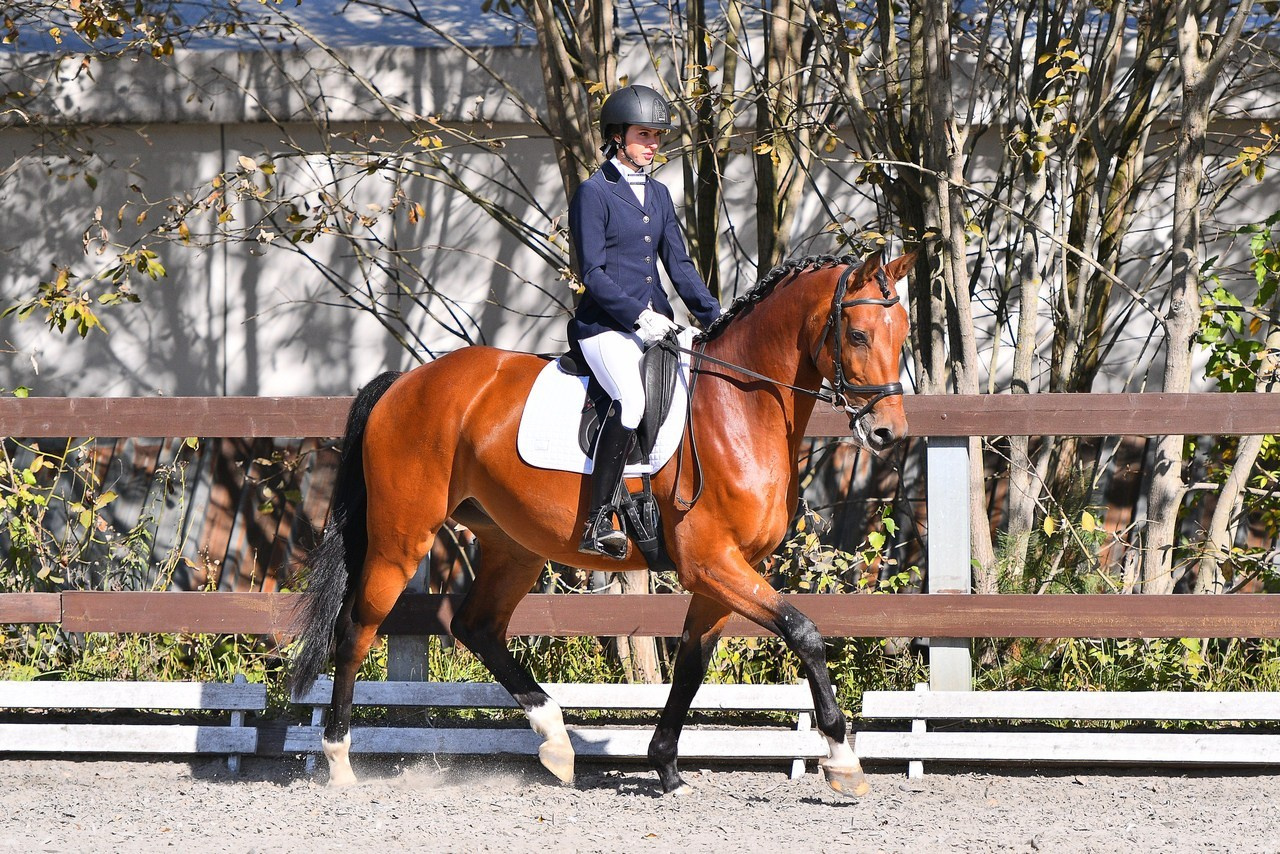 Отзывы. ТУРНИРНАЯ КОННАЯ ФОТОГРАФИЯ, Руднева Ольга и Евгений Адеев