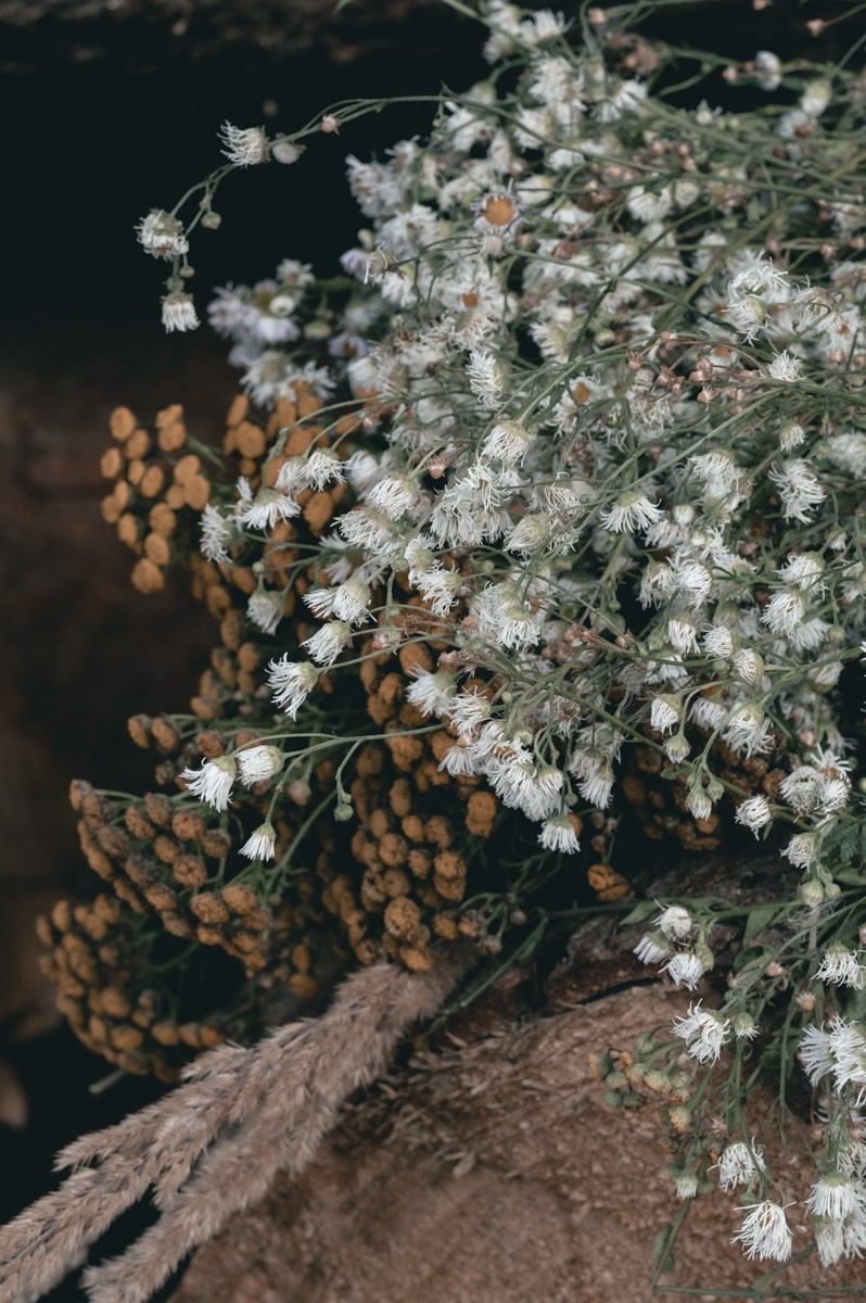 Фотосессии на природе. Фотограф Светлана Воронцова
