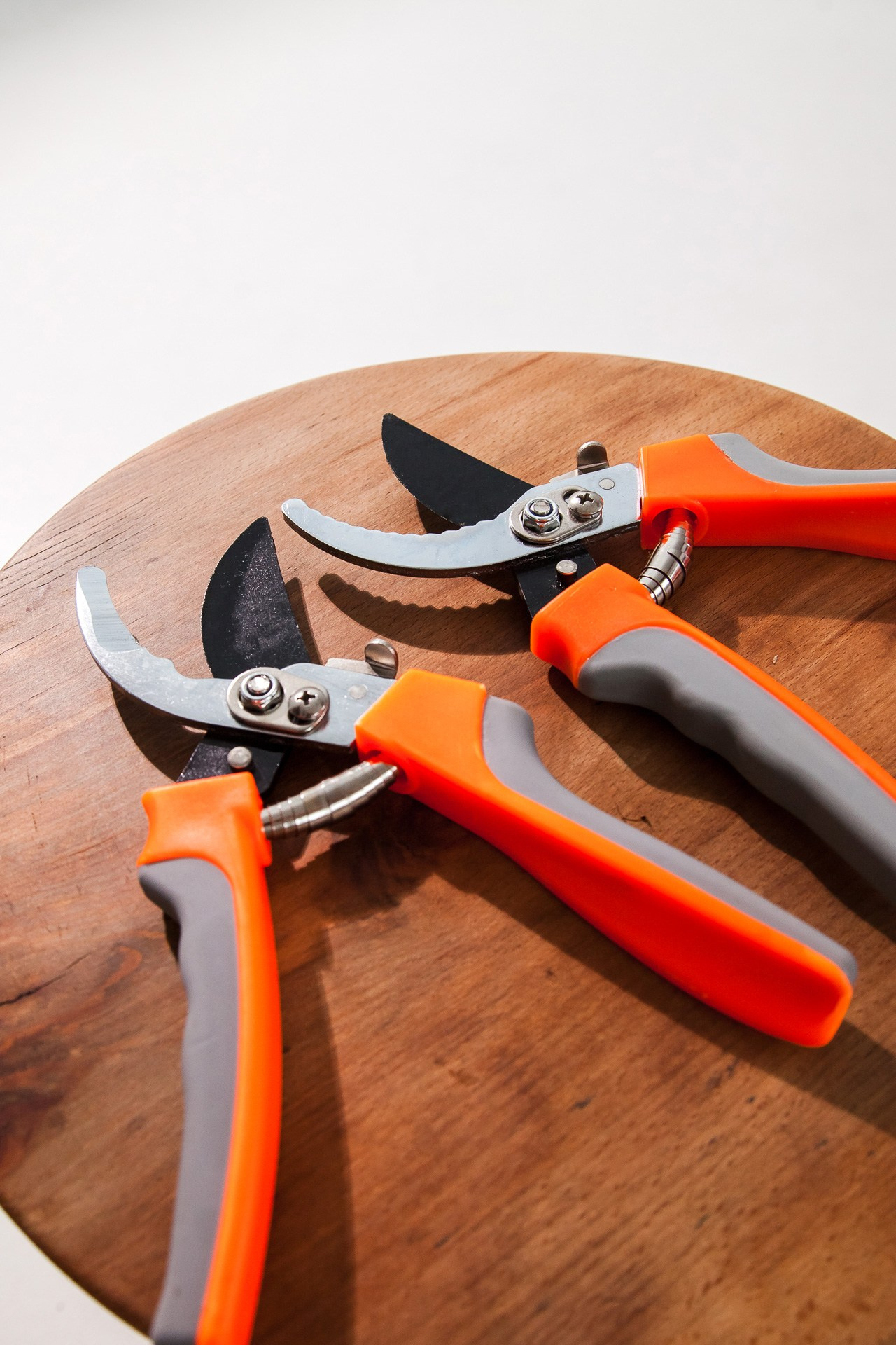 Секатор. Портретный, семейный, свадебный фотограф в Брянске Маргарита Василькова