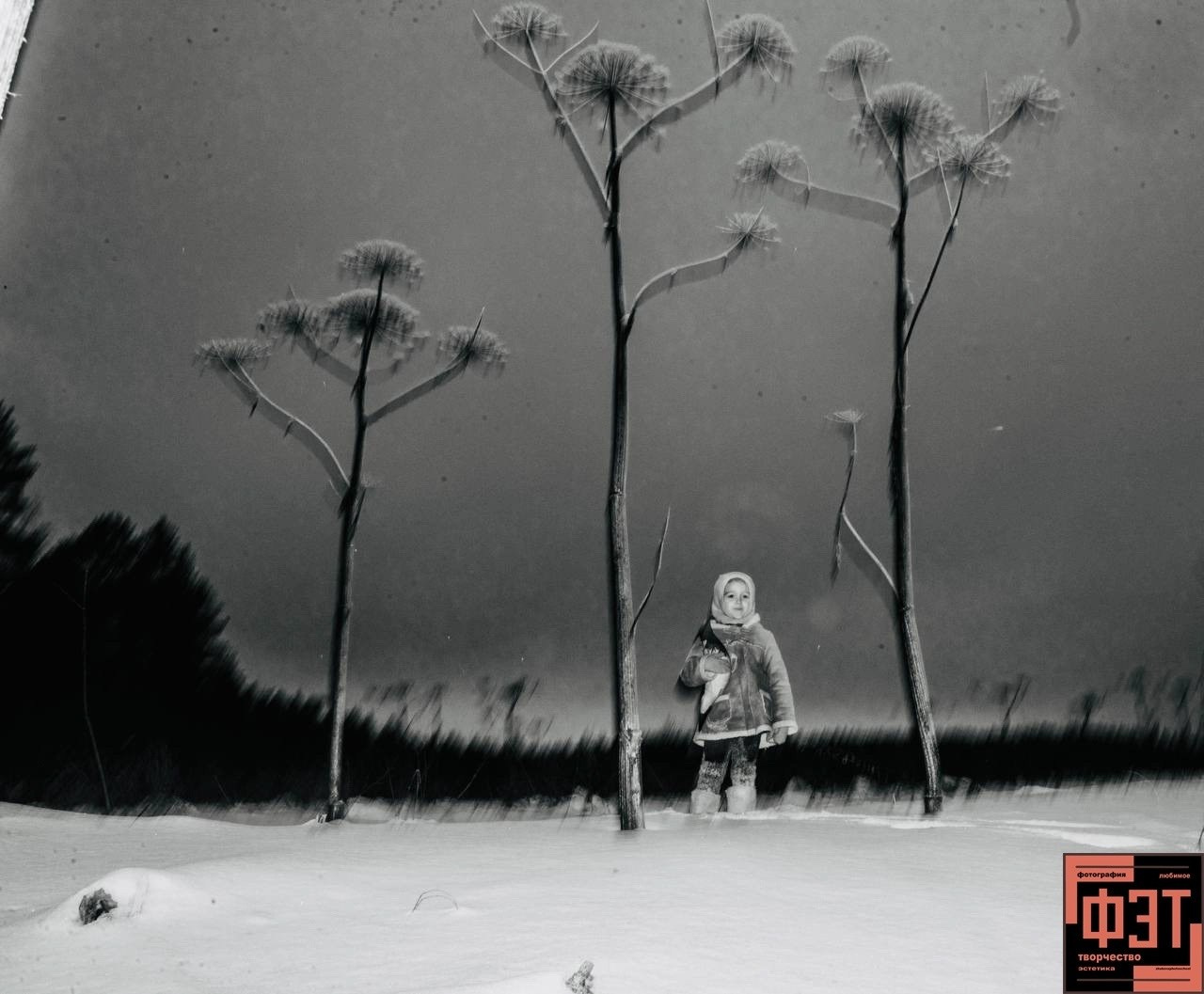 Март 2026. Автор месяца проекта ФЭТ: Фотография Эстетика Творчество