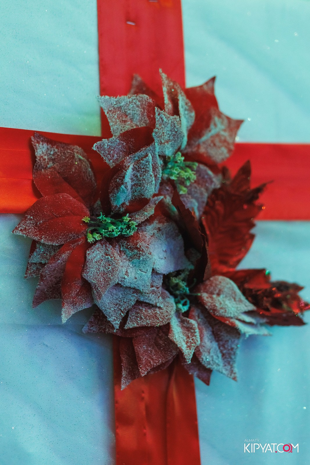 BLA BLA BAR. КИПЯТКОМ АЛМАТЫ!