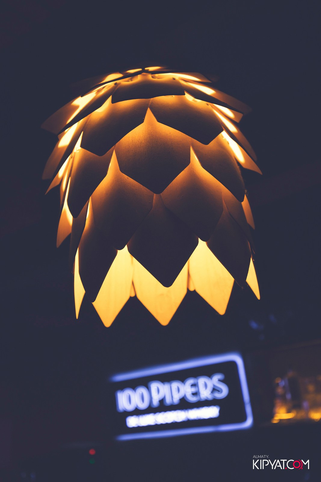 ШИШКА LOUNGE НА ЖИБЕК ЖОЛЫ. КИПЯТКОМ АЛМАТЫ! Фотосъемка мероприятий в Алматы