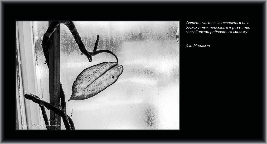 Совет дня — ориентир. Татьяна Корчагина. Фотограф, художник. Обучение фотографии