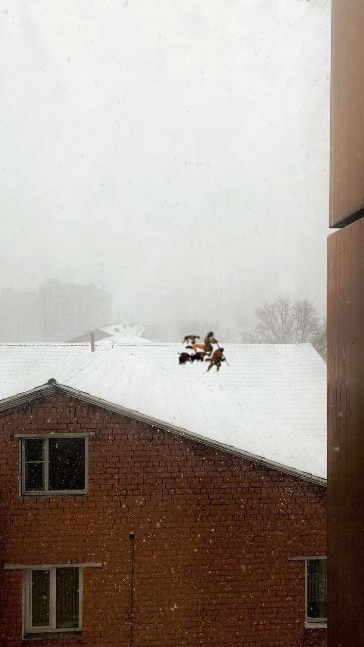 2024. Тащилин Сергей. Фотографии. Жизнь. Хобби