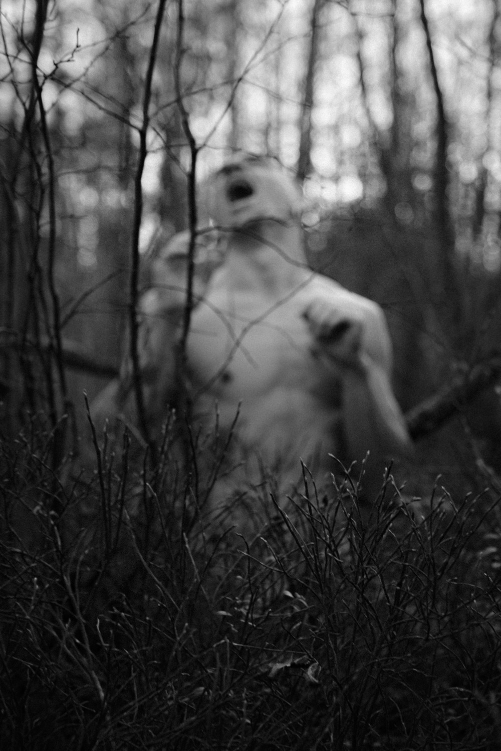 Wandering. ✨misha khazov • photography • performance