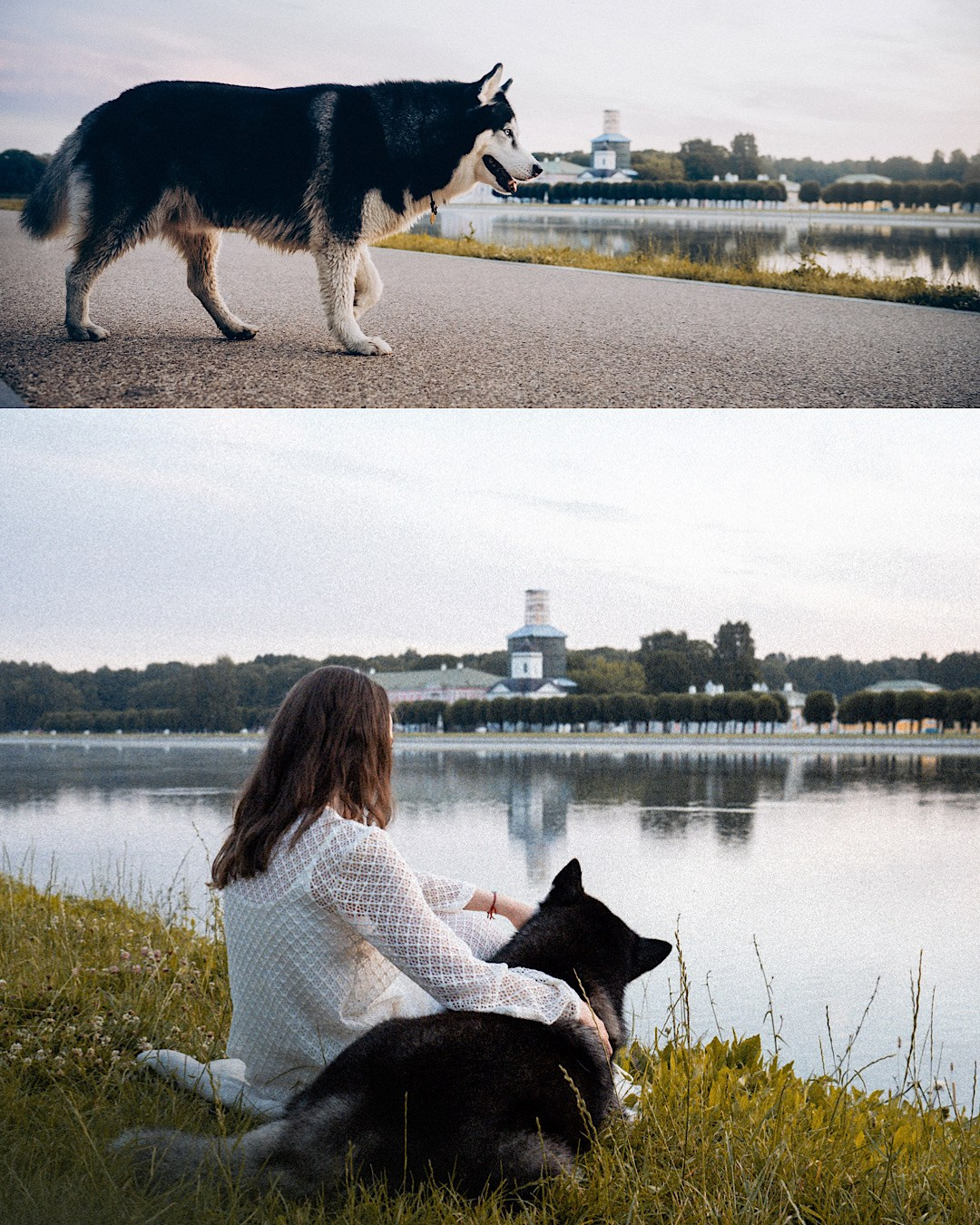 Мария и Вегас. Фотограф анималист в Москве и Санкт-Петербурге Свиридова Анна