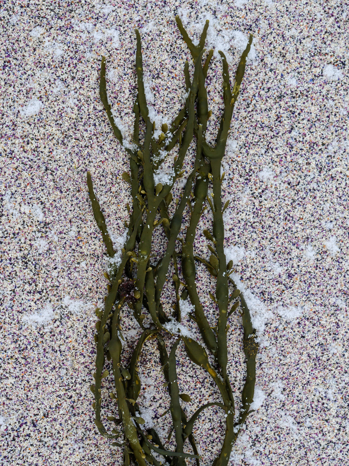 Норвегия. «dbstudio» — фотосъемка еды и продуктов питания