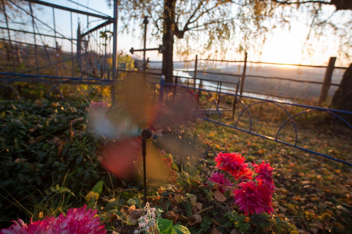 Пейзаж, природа. «dbstudio» — фотосъемка еды и продуктов питания