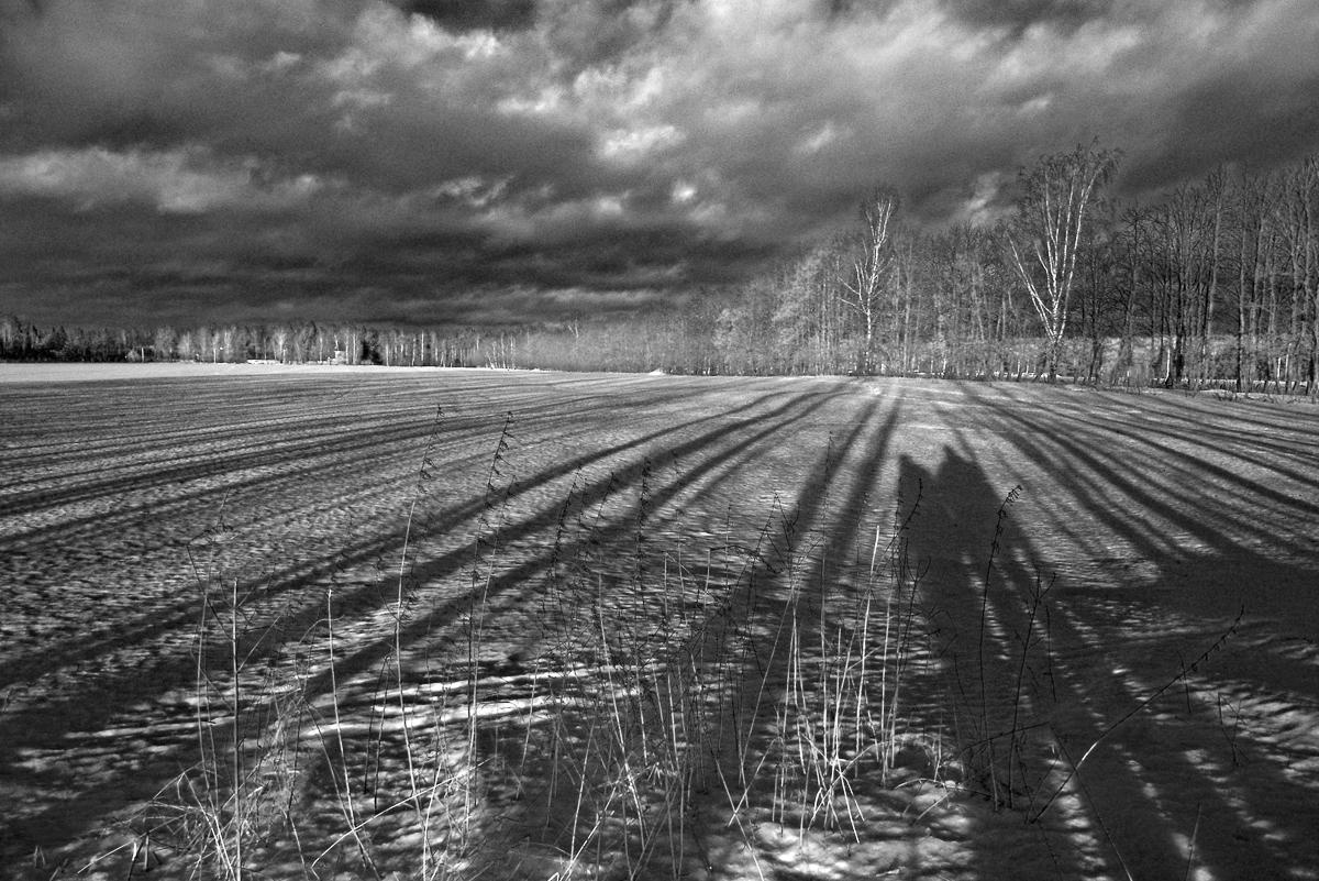 Селфи с женой)