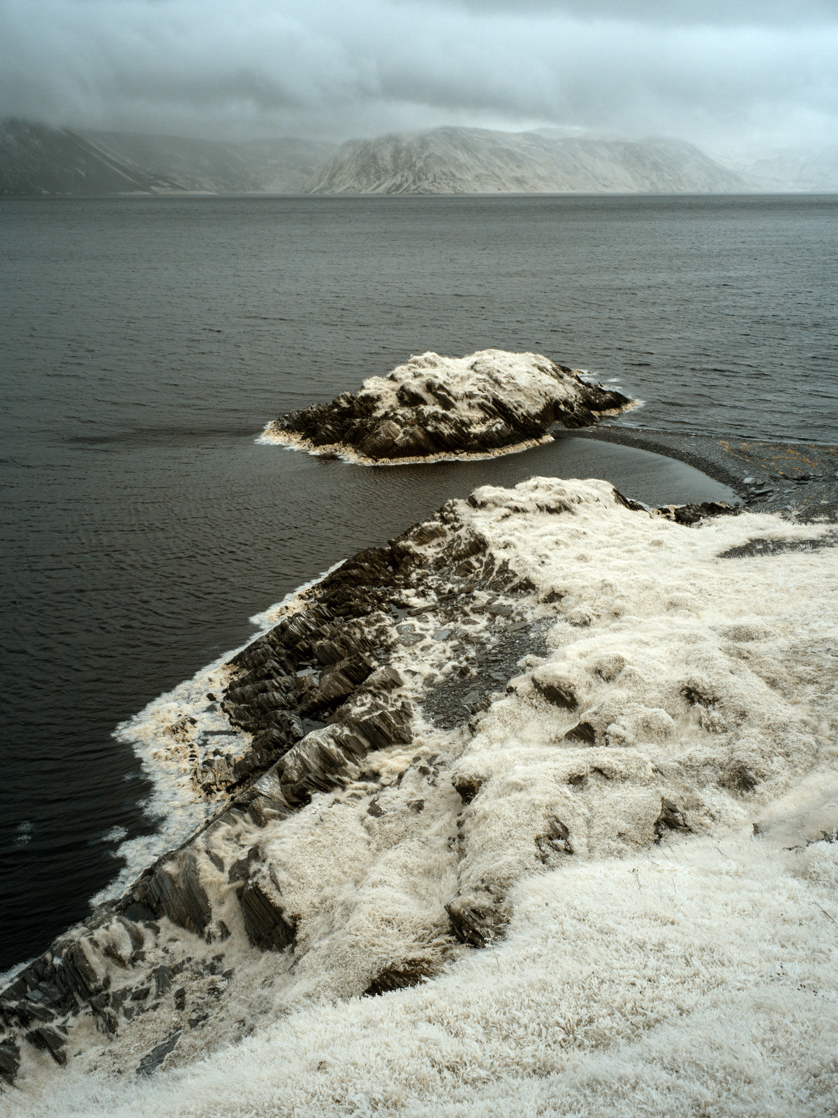 Норвегия. «dbstudio» — фотосъемка еды и продуктов питания