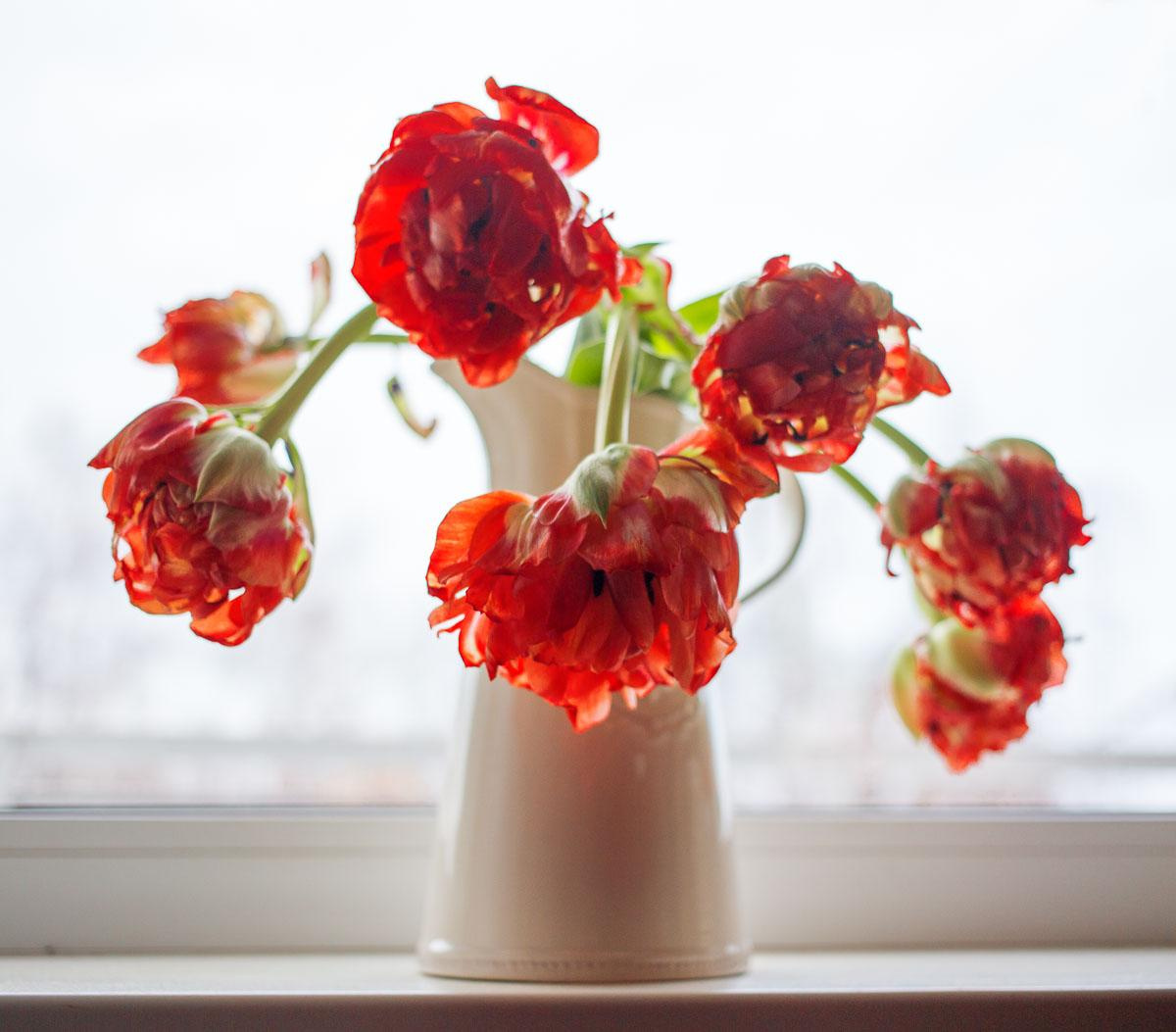 Натюрморт (наблюдашки))). «dbstudio» — фотосъемка еды и продуктов питания