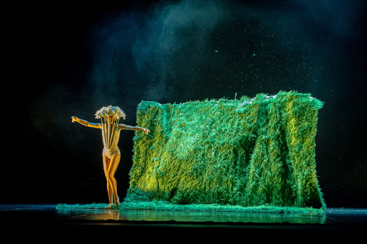 Новофест Фестиваль современного танца. Главная