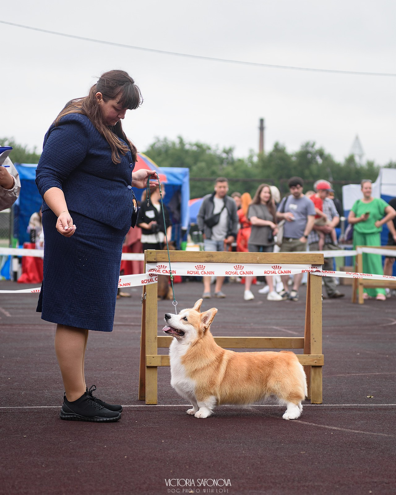 10 августа 2024. Благовещенск. Фотограф анималист Благовещенск. Сафонова Виктория