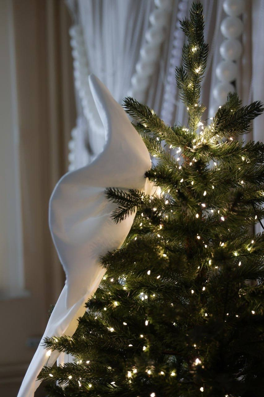 НГ 2025-2026. Фотограф НатаФото (Наталья Яковенко) Дмитров Москва Питер