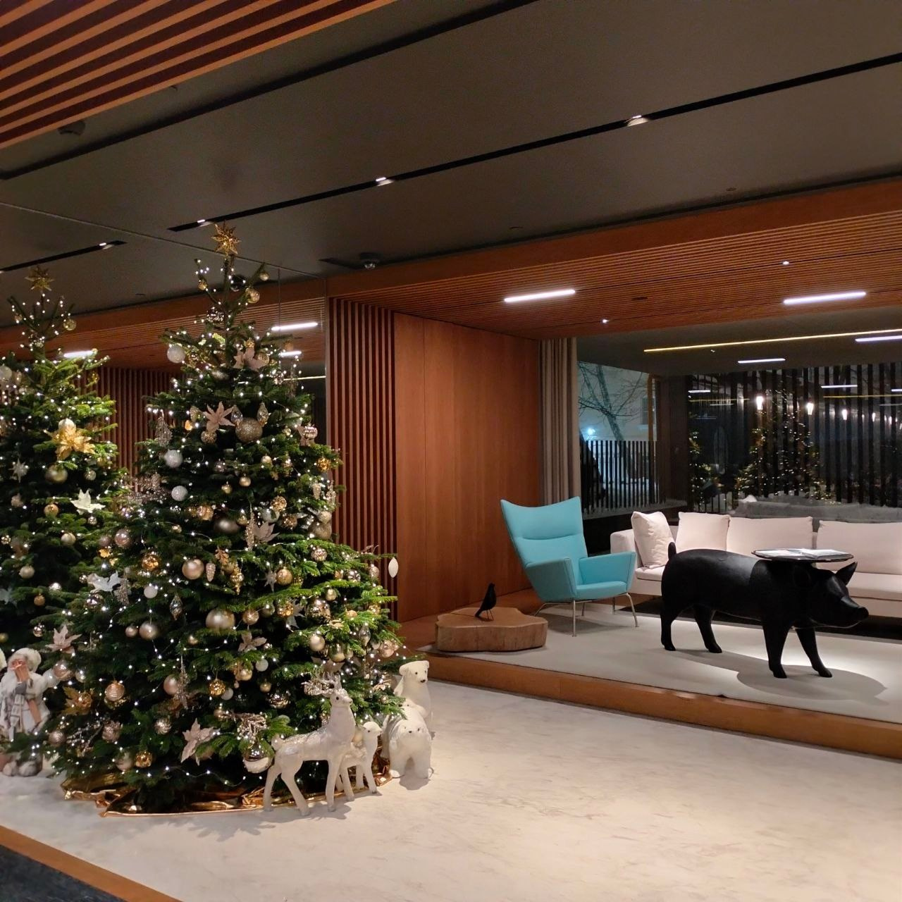 Декорирование живой пихты Нордмана 