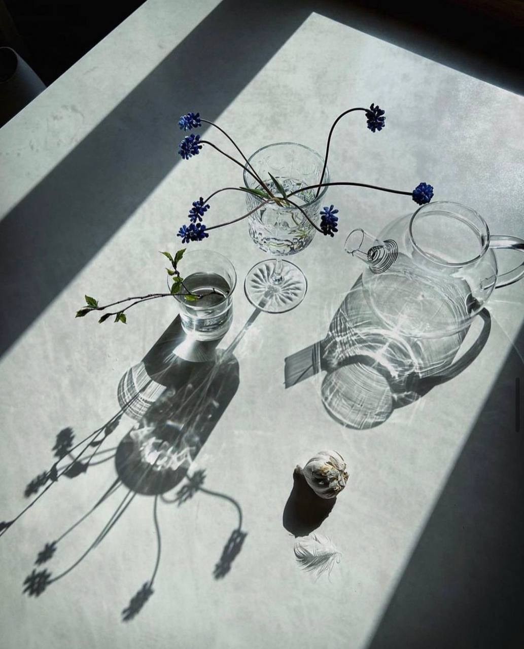 Курс "Композиция". Наталья Жукова. Курсы фотографии