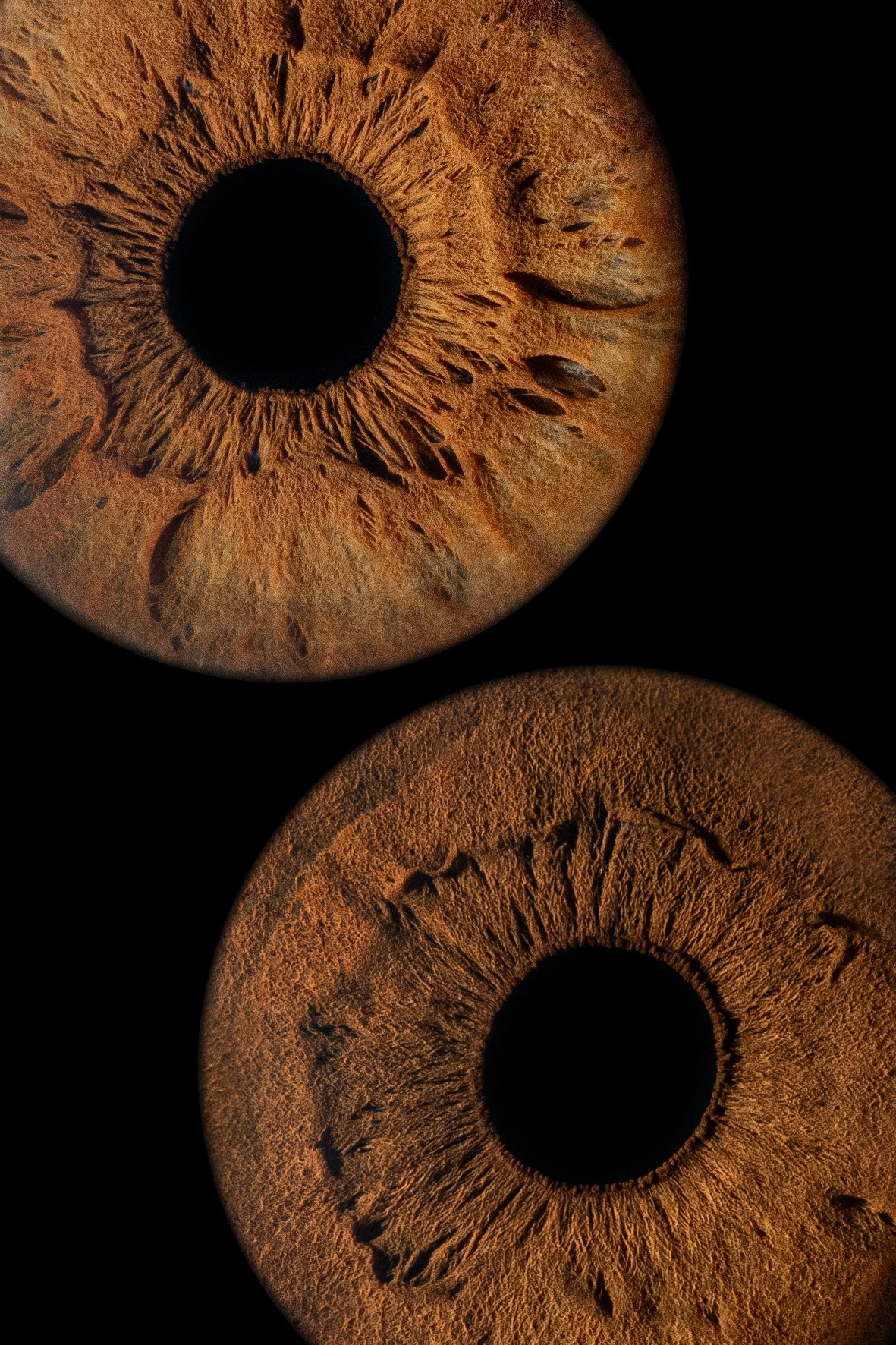 фото радужки глаза Хабаровск фотография радужки глаза Хабаровск