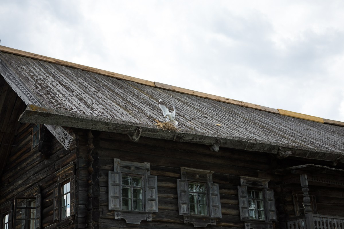 Kizhi. Фотограф Евгения Добротворская