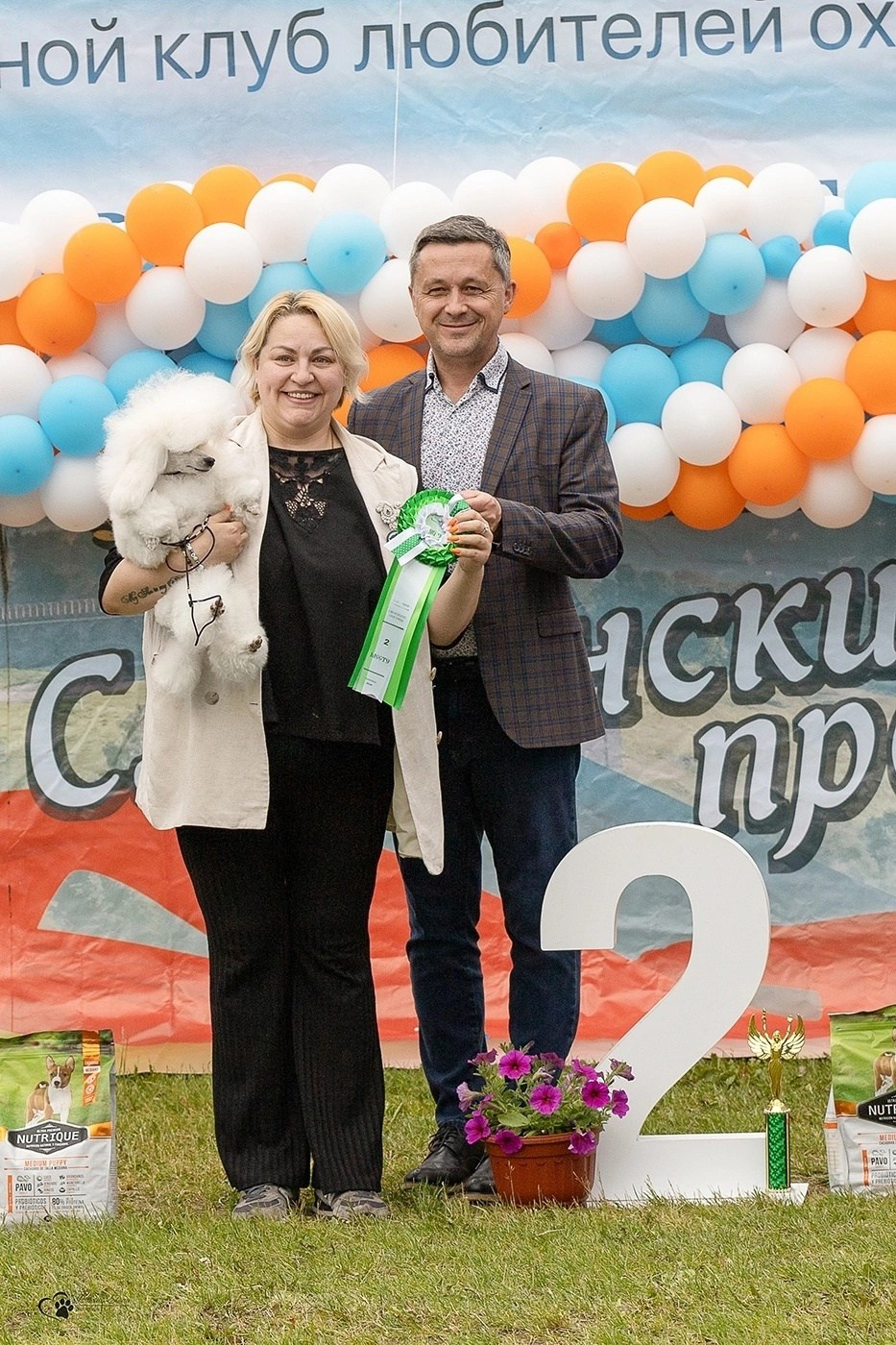 Выставки. Купить щенка Вельш-корги-кардиган в семейном питомнике — Ice Fantasy