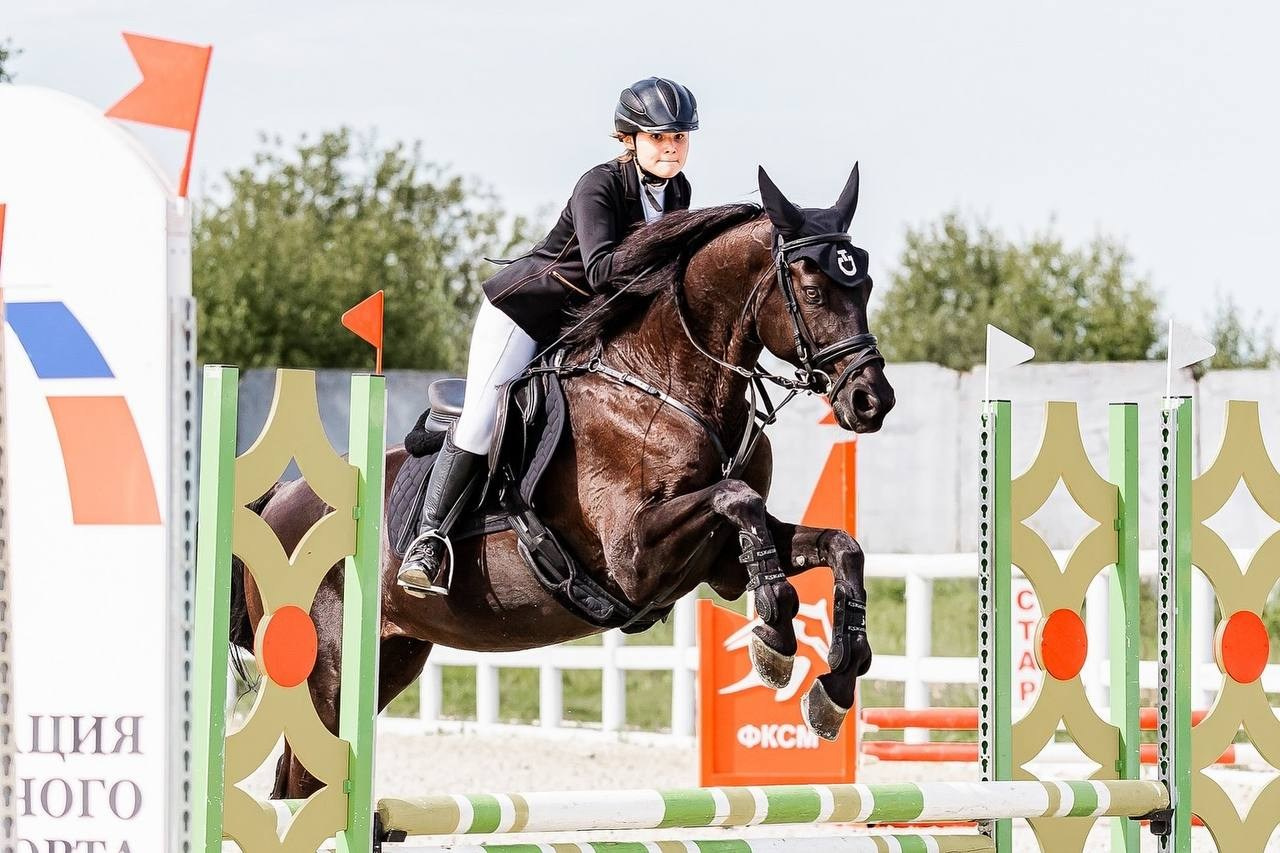 Соревнования по конкуру в МКК ВОЛЬТ — ГОРТЕНЗИЯ-ТУР. Конный фотограф Куракина Дарья • Фотосессии с лошадьми