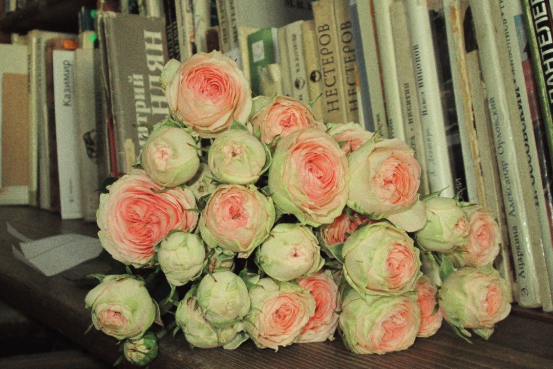 By Анастасия Сигута