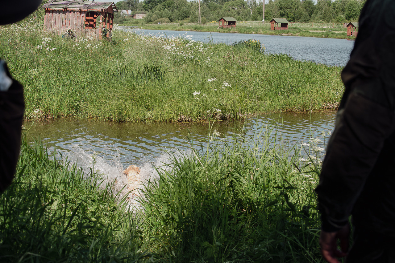 Испытания МОО «Школа Шмеля» 11 июня 2023. Фотограф-анималист Наталья Светличная
