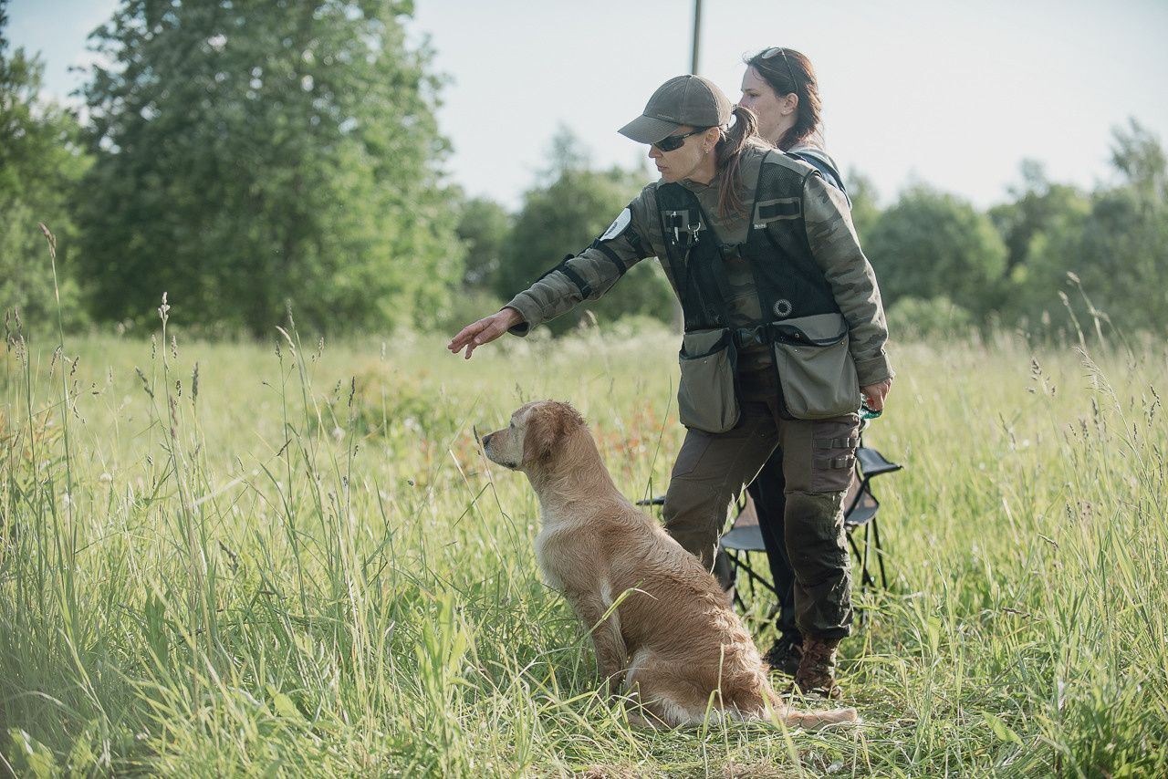 Несертификатный воркинг тест Школы Шмеля, 10 июня 2023. Фотограф-анималист Наталья Светличная