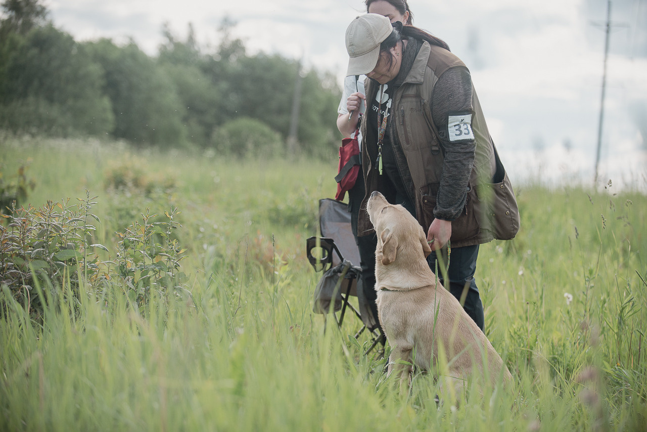 Несертификатный воркинг тест Школы Шмеля, 10 июня 2023. Фотограф-анималист Наталья Светличная
