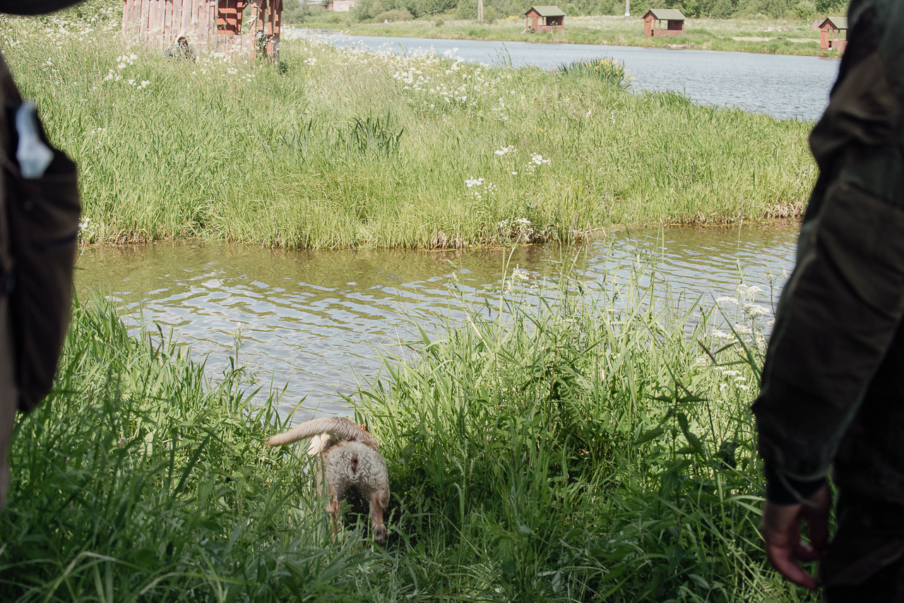 Испытания МОО «Школа Шмеля» 11 июня 2023. Фотограф-анималист Наталья Светличная