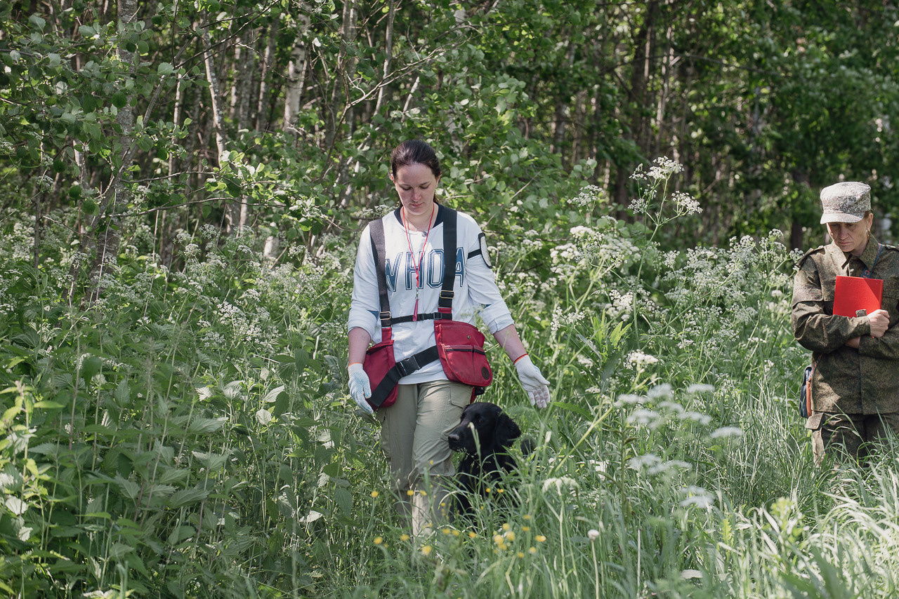 Испытания МОО «Школа Шмеля» 11 июня 2023. Фотограф-анималист Наталья Светличная