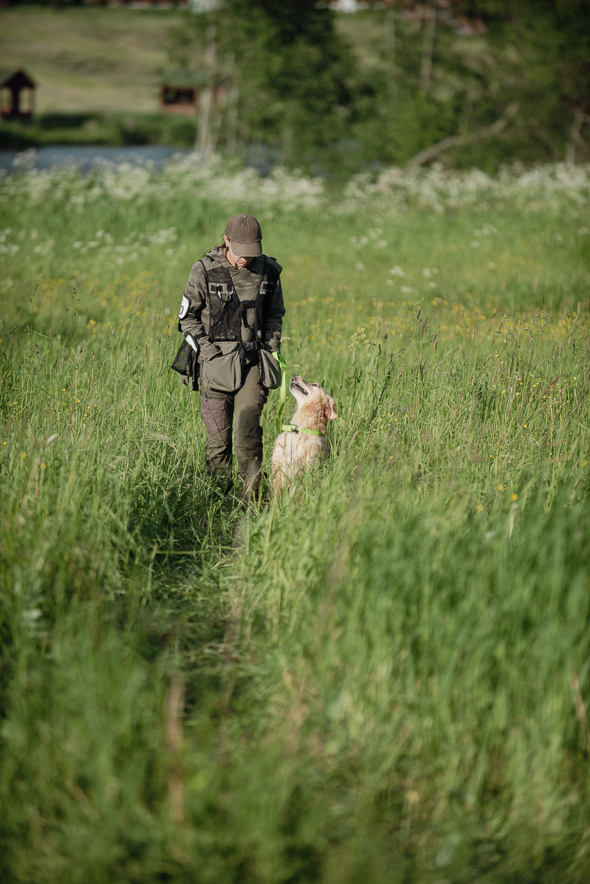 Несертификатный воркинг тест Школы Шмеля, 10 июня 2023. Фотограф-анималист Наталья Светличная