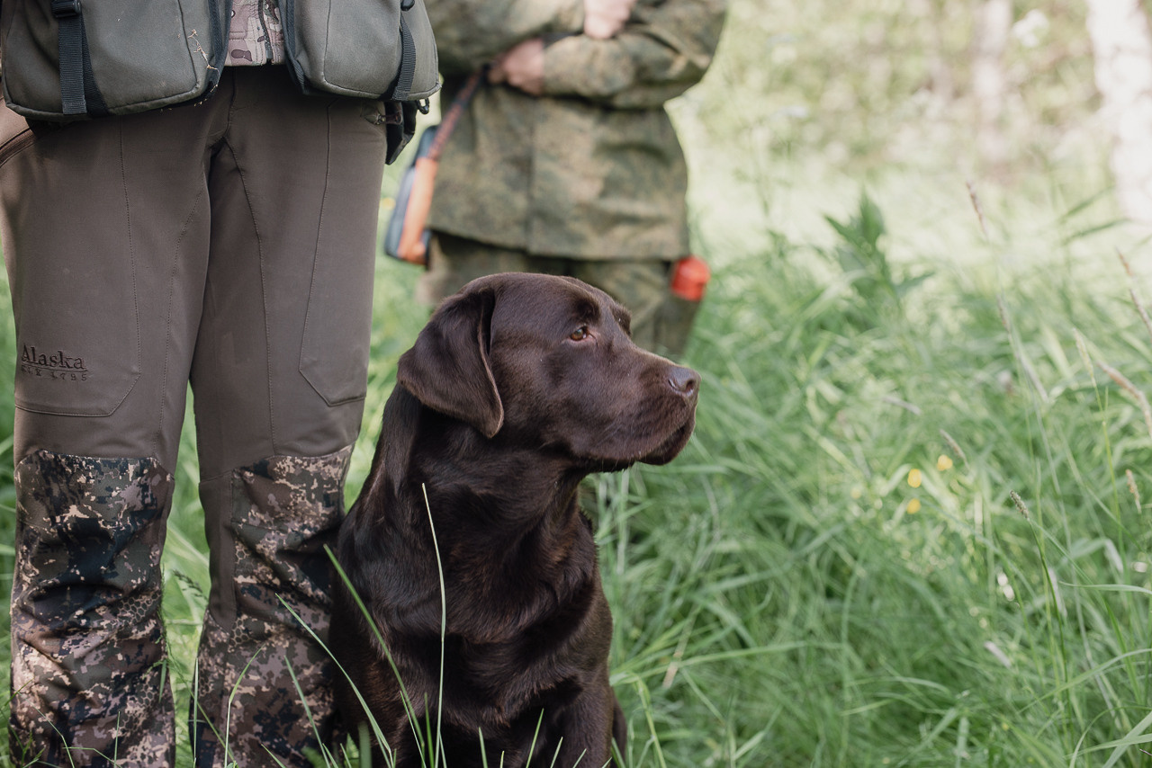 Испытания МОО «Школа Шмеля» 11 июня 2023. Фотограф-анималист Наталья Светличная
