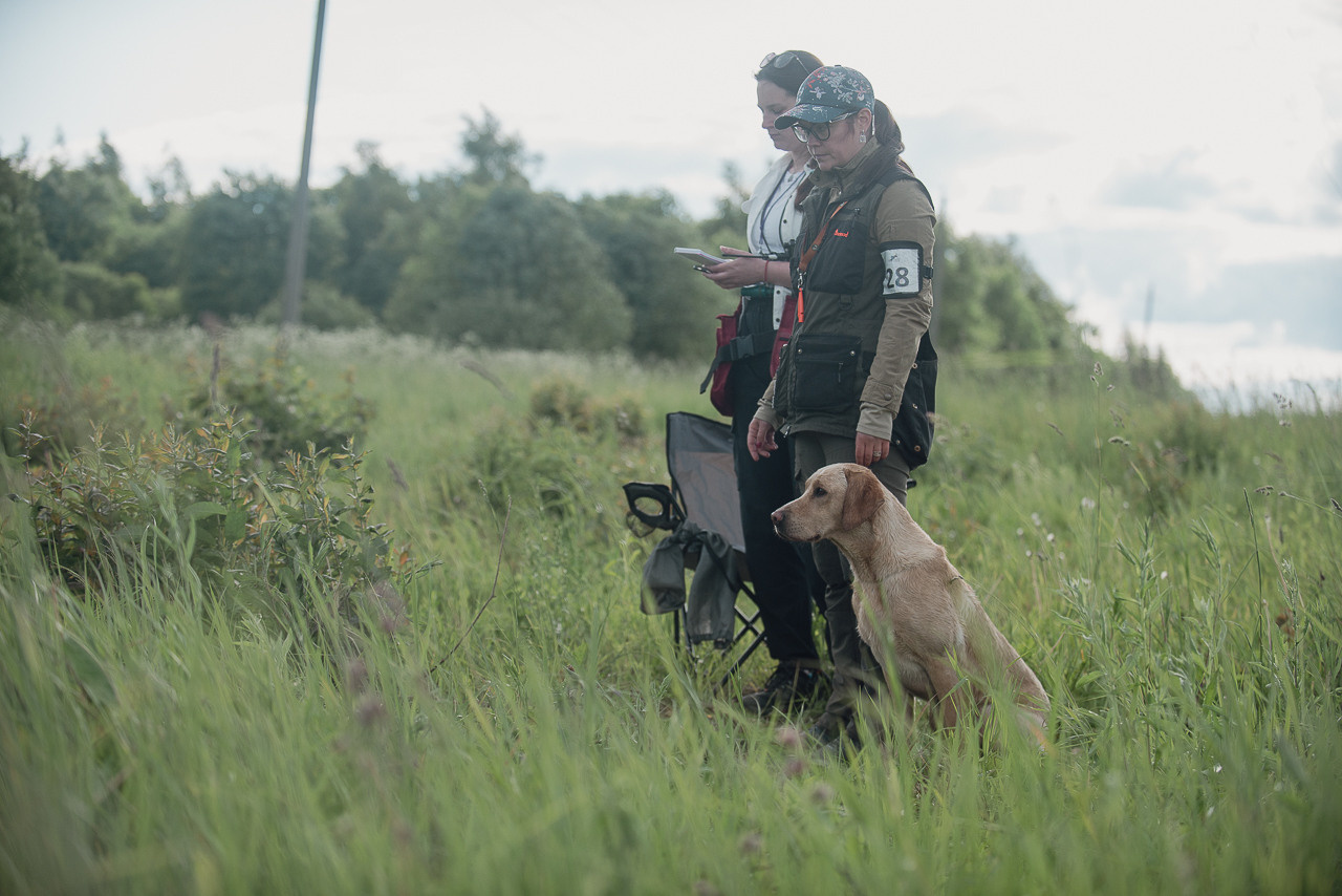 Несертификатный воркинг тест Школы Шмеля, 10 июня 2023. Фотограф-анималист Наталья Светличная