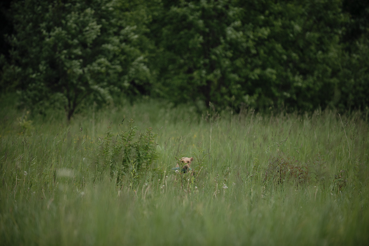 Несертификатный воркинг тест Школы Шмеля, 10 июня 2023. Фотограф-анималист Наталья Светличная