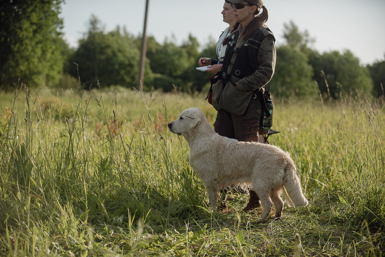 Несертификатный воркинг тест Школы Шмеля, 10 июня 2023. Фотограф-анималист Наталья Светличная