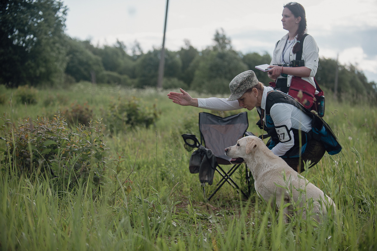 Несертификатный воркинг тест Школы Шмеля, 10 июня 2023. Фотограф-анималист Наталья Светличная