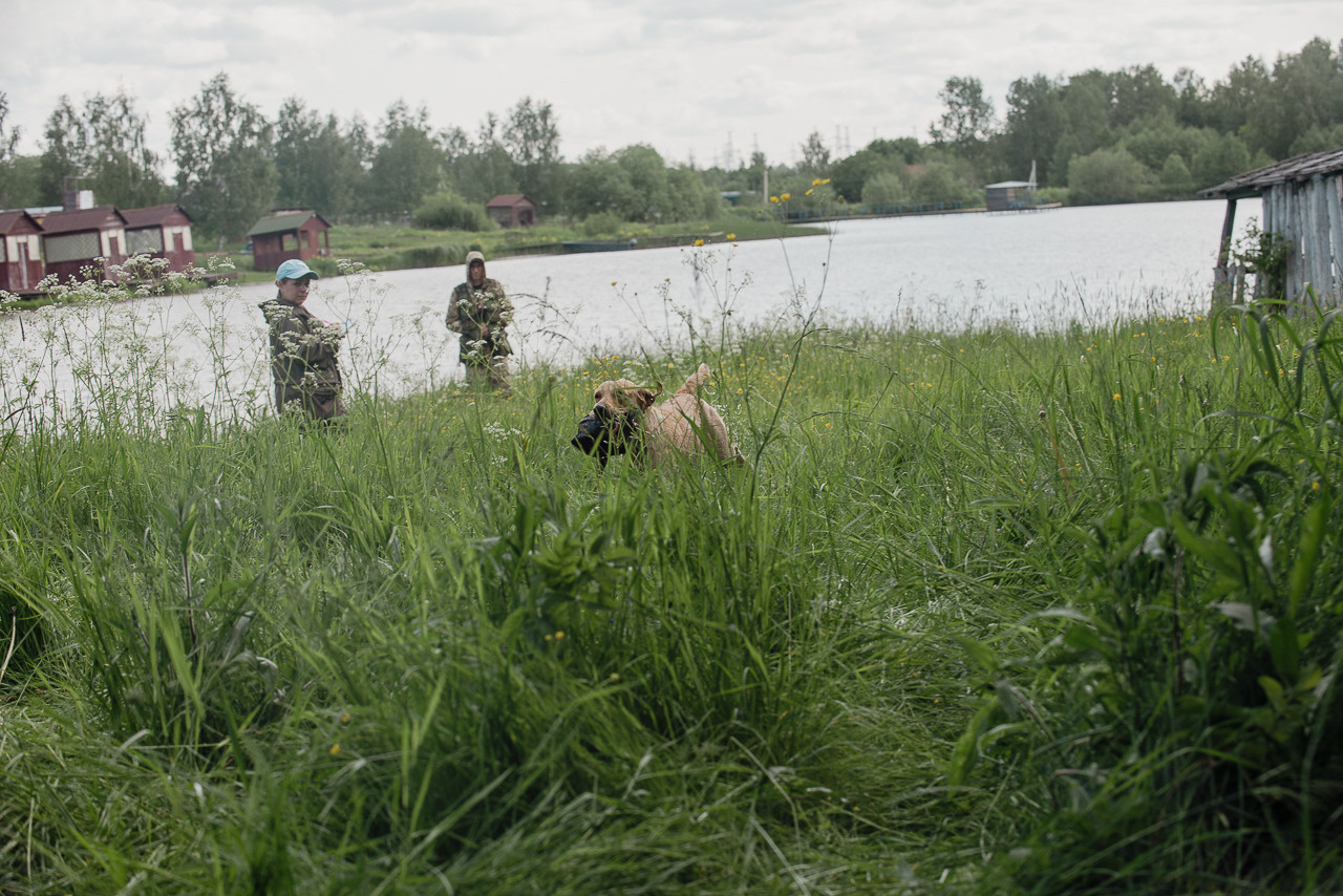 Испытания МОО «Школа Шмеля» 11 июня 2023. Фотограф-анималист Наталья Светличная