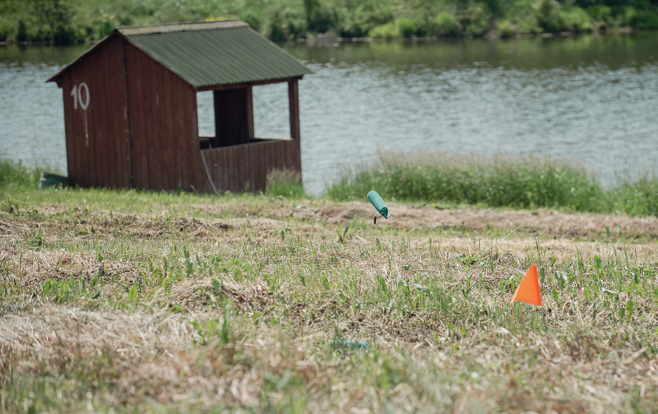Соревнования по метанию даммисов в рамках тренировочного лагеря Школы Шмеля 2023. Фотограф-анималист Наталья Светличная