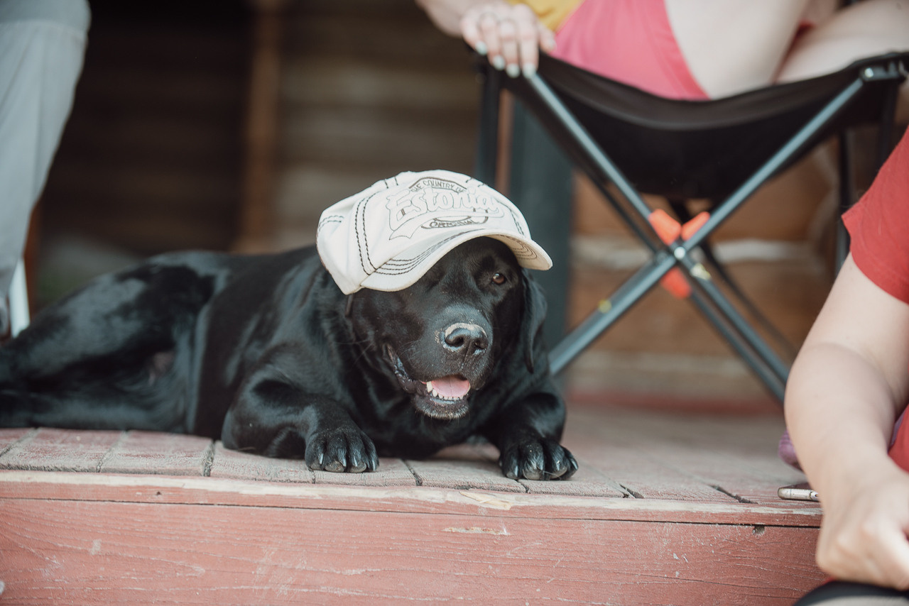 Соревнования по метанию даммисов в рамках тренировочного лагеря Школы Шмеля 2023. Фотограф-анималист Наталья Светличная