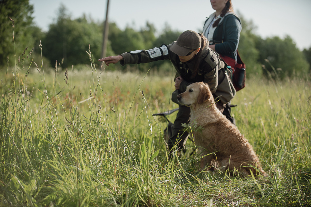 Несертификатный воркинг тест Школы Шмеля, 10 июня 2023. Фотограф-анималист Наталья Светличная