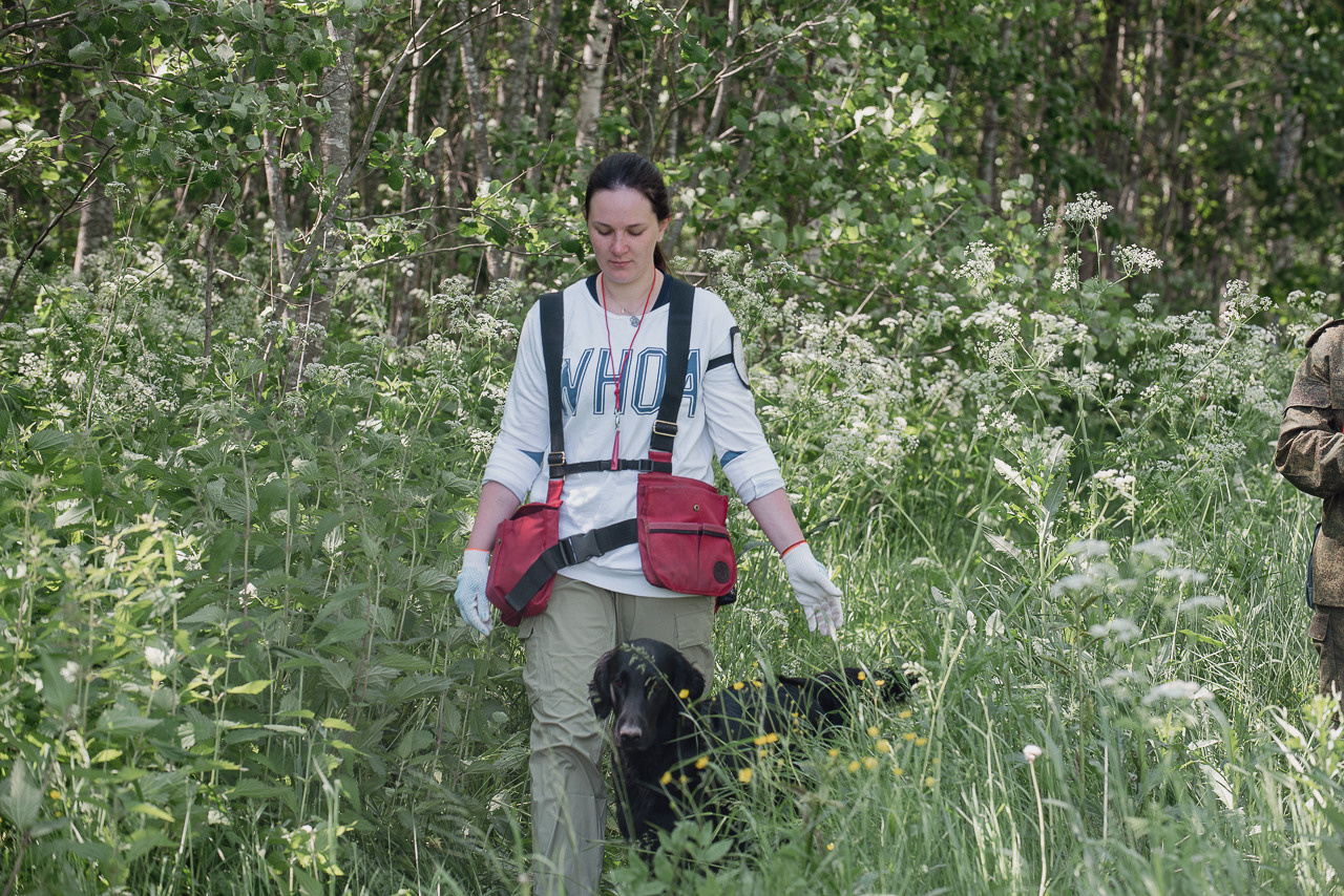 Испытания МОО «Школа Шмеля» 11 июня 2023. Фотограф-анималист Наталья Светличная