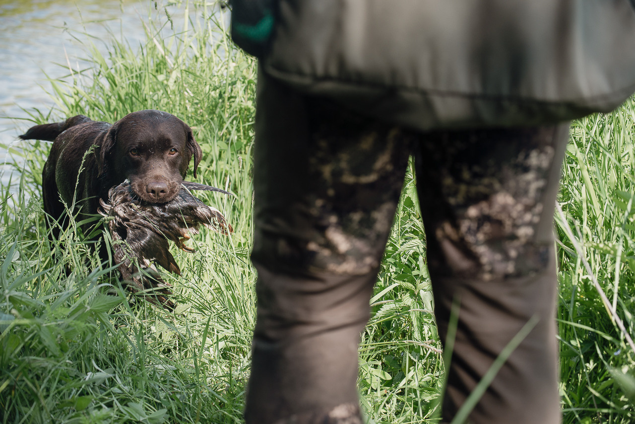 Испытания МОО «Школа Шмеля» 11 июня 2023. Фотограф-анималист Наталья Светличная