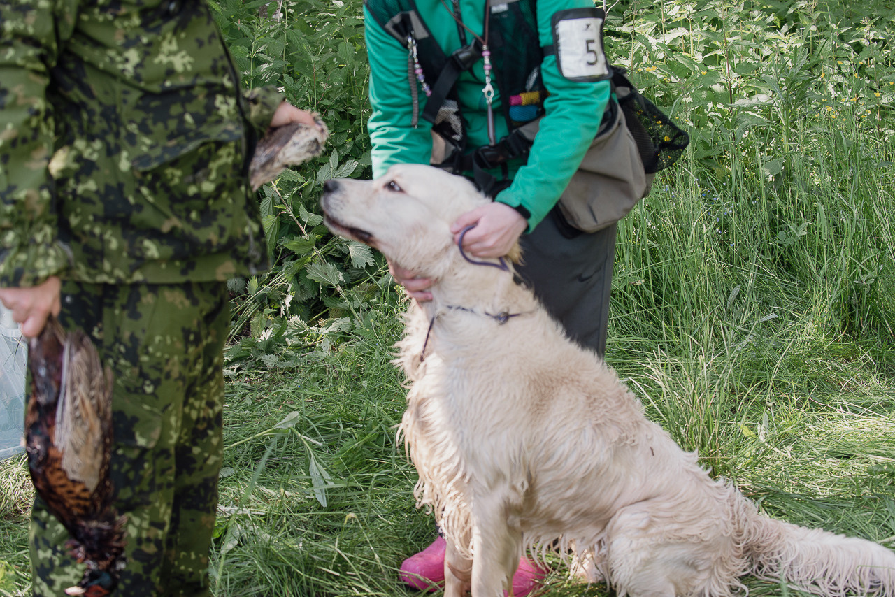 Испытания МОО «Школа Шмеля» 11 июня 2023. Фотограф-анималист Наталья Светличная