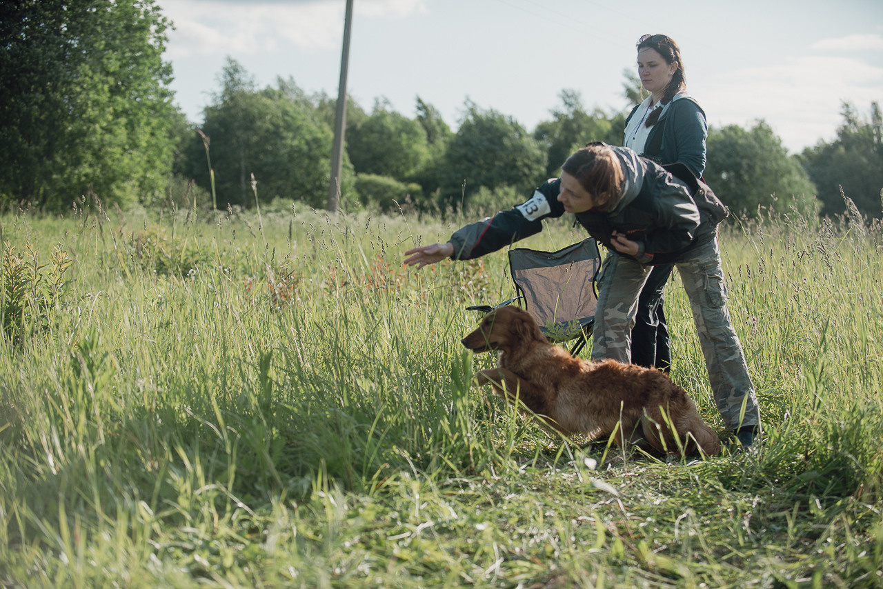 Несертификатный воркинг тест Школы Шмеля, 10 июня 2023. Фотограф-анималист Наталья Светличная