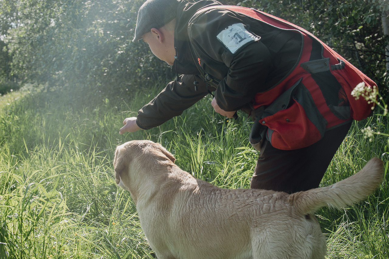 Испытания МОО «Школа Шмеля» 11 июня 2023. Фотограф-анималист Наталья Светличная