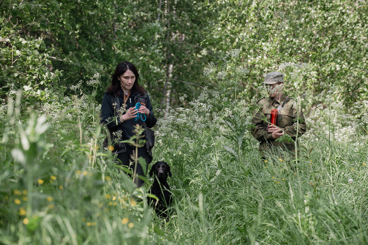 Испытания МОО «Школа Шмеля» 11 июня 2023. Фотограф-анималист Наталья Светличная