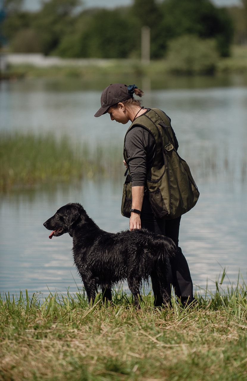 Состязания по розыску и подаче битой дичи, ЯРОС, 18.06.23. Фотограф-анималист Наталья Светличная