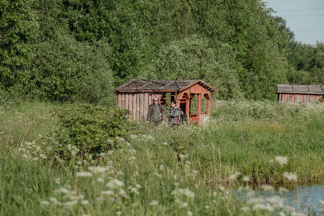Испытания МОО «Школа Шмеля» 11 июня 2023. Фотограф-анималист Наталья Светличная