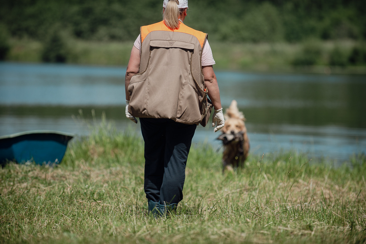Состязания по розыску и подаче битой дичи, ЯРОС, 18.06.23. Фотограф-анималист Наталья Светличная