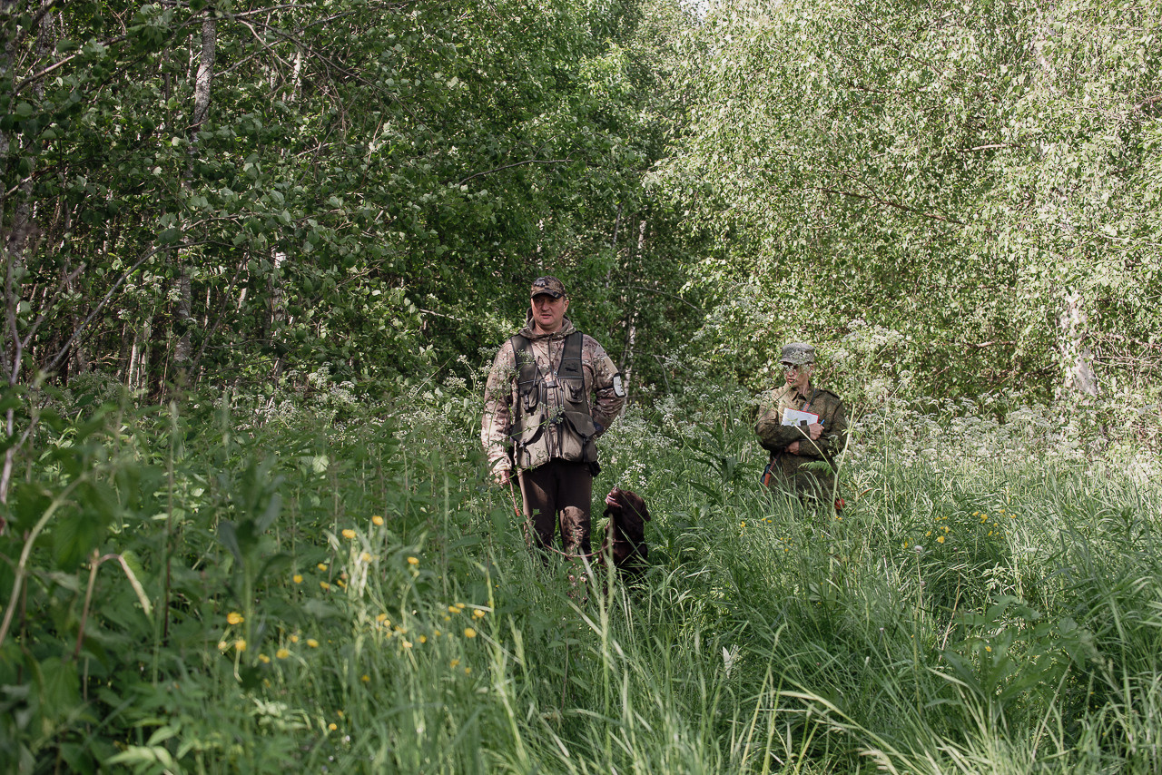 Испытания МОО «Школа Шмеля» 11 июня 2023. Фотограф-анималист Наталья Светличная